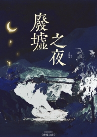 废墟之夜（1v1,H,县城文学）封面