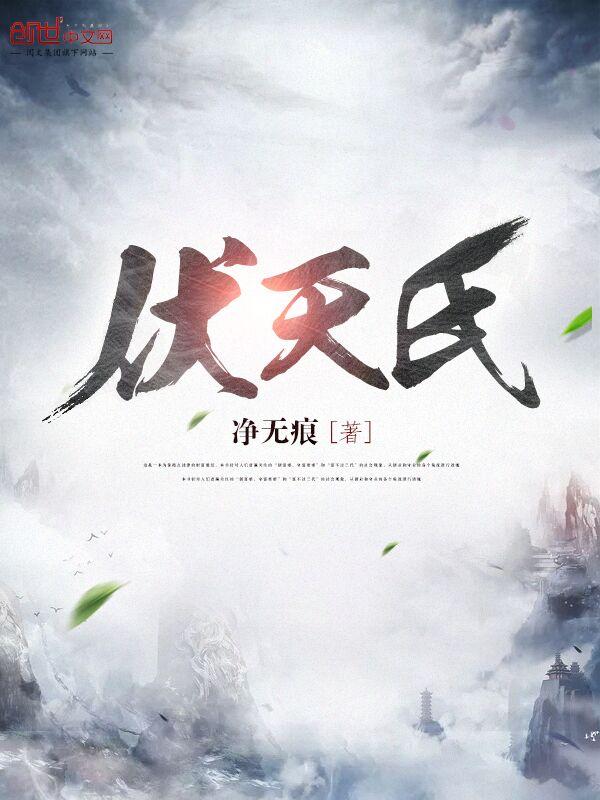 七芒骑士