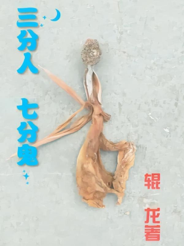 三分人七分鬼 三分人七分鬼