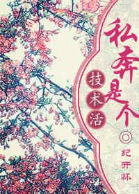 私奔是个技术活 私奔是个技术活