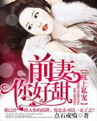 枕上私宠:前妻,你好甜 枕上私宠:前妻,你好甜