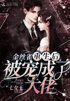 金丝雀重生后被宠成了大佬 金丝雀重生后被宠成了大佬